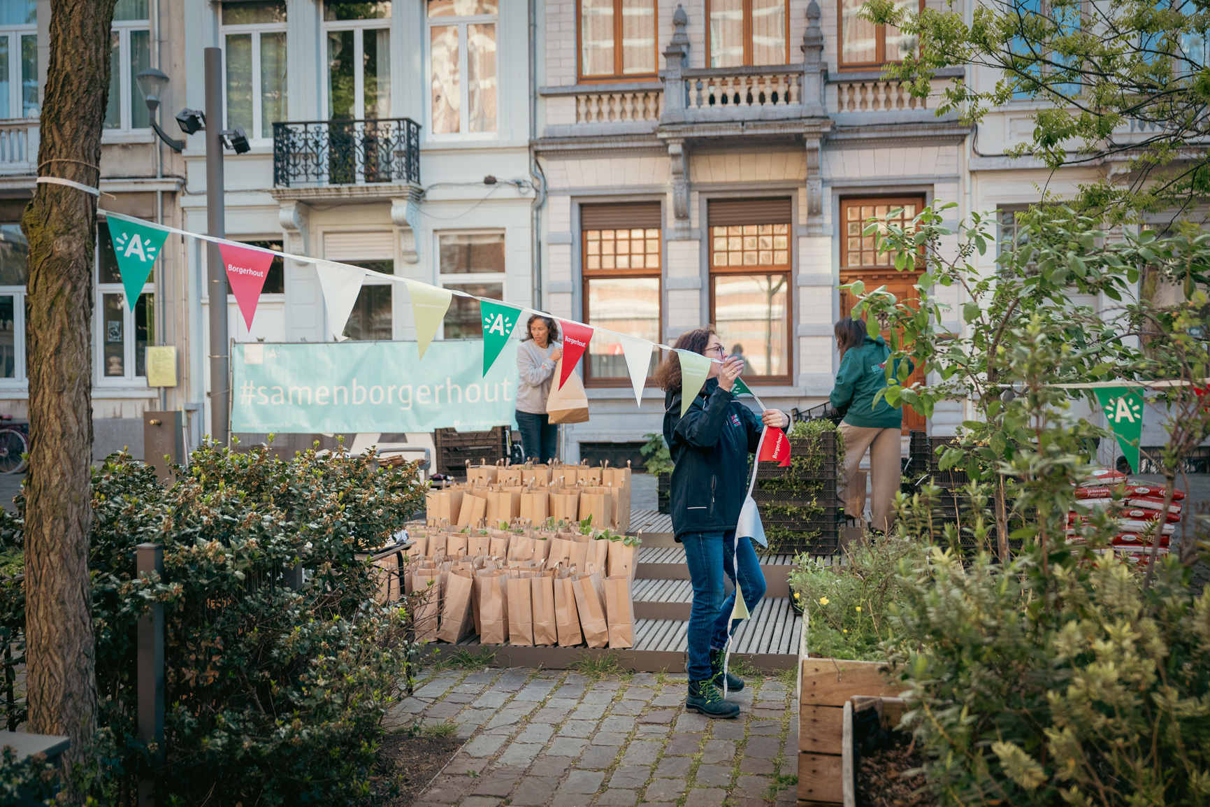 Bestel voor 1 september je gratis plantjes. 17 oktober is het weer Groeidag in Borgerhout